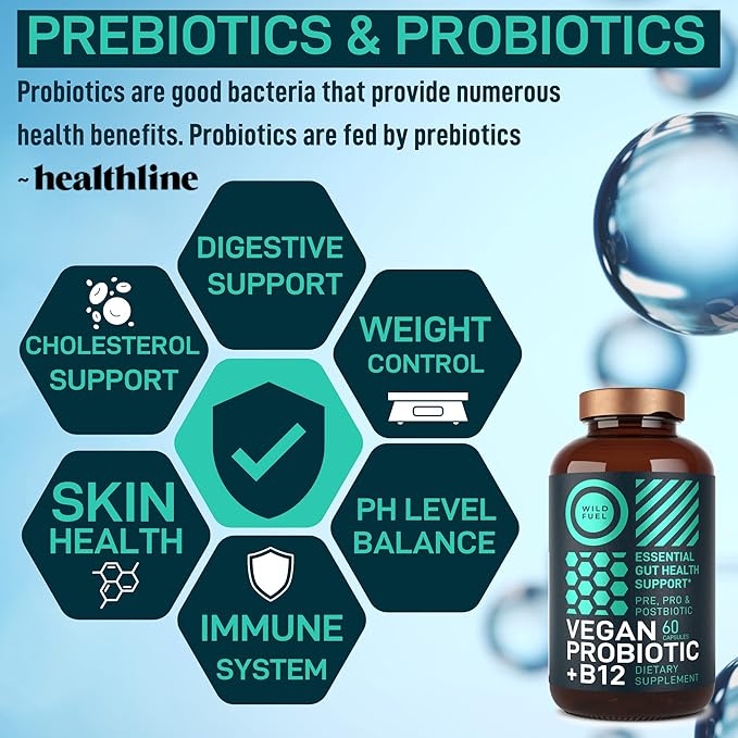 Vegan Probiotic Plus B12 &amp FOS - 22 Billion CFU Synbiotics Prebiotics and Probiotics for Digestive Health IBS Mood Support - B12 Pre Pro Post Biotics for Women &amp Men - 60 Gluten-Free Capsule