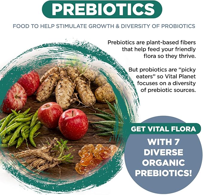 Vital Planet - Vital Flora Ultra Daily Probiotic 60 Billion CFU 60 Diverse Strains 7 Organic Prebiotics Immune Support Digestive Health Shelf Stable Probiotics for Women and Men 30 Capsules