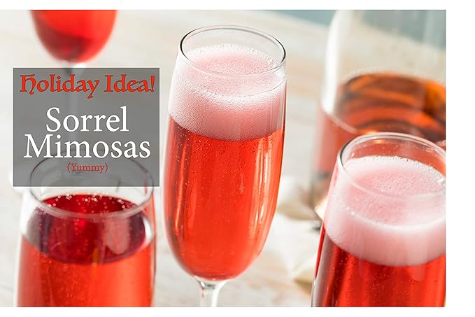 Premium Sorrel (5 pack) Hibiscus Flower Whole Petal 3 Oz (pack of 5) - Flor de Jamaica Zobo Flower perfect for Tea and Mexican Agua Fresca - Makes Refreshing Iced Tea Or Hot Tea