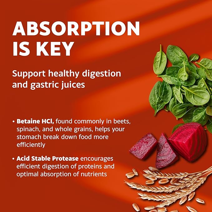Mt. Angel Vitamins - Hydrochloric Acid Betaine Supports Healthy Digestion &amp Gastric Juices (200 Vegetarian Chlorocaps)