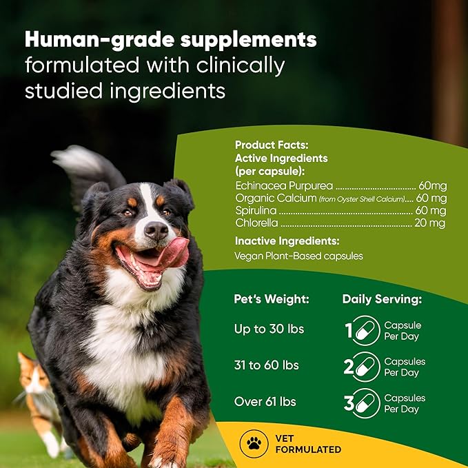 Rooted Owl Natural Immunity - Cat and Dog Immune Support - Triple Mushroom Supplement for Dogs &amp Cats with Reishi Shiitake and Maitake Mushrooms - 60/ct Vegan Capsules