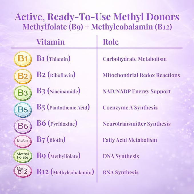 Buried Treasure B Complete - 16 Fl oz All 8 B Vitamins with Methylated B12 &amp Methylfolate Biotin B1 B2 B6 Antioxidant Support Liquid &amp Sugar-Free B complex vitamins for Women &amp Men