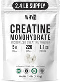 Pure Creatine Monohydrate Powder 2.4 lb Micronized Unflavored Creatine for Women and Men Fine Texture Bulk Creatine Powder for Smooth Mixing &amp Easy Dissolve Pre Workout Vegan Friendly 1100g