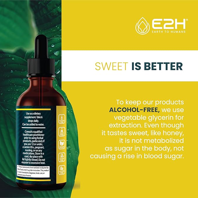 E2H Vegan Liquid Iodine - Thyroid Support and Cognitive Function - Boost Your Metabolism and Energy Levels - Vegan - Non-GMO (3 Bottles)