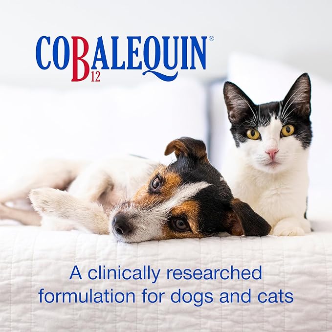 Nutramax Cobalequin B12 for Dogs and Cats Oral Cobalamin Supplement with Folate Vitamin B12 for Dogs Under 22 lbs. and Cats Supports GI Health Chewable Tablets 45 Count