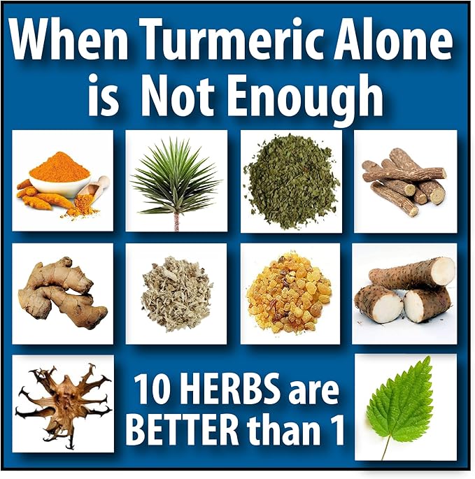Biologic Nutrients Turmeric and Ginger Supplement 10-in-1 Herbal Joint Supplements for Men &amp Women with Muscle Bones Nerves &amp Joint Support - Daily Mobility Support 120 Capsules