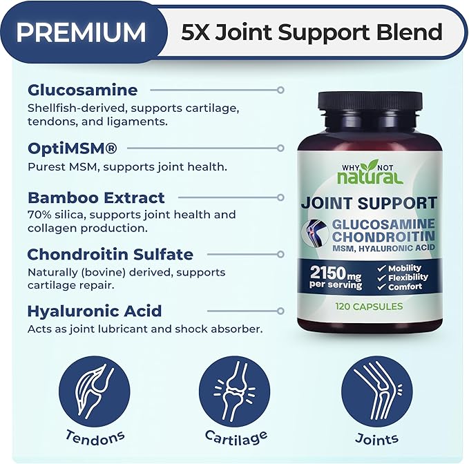 Why Not Natural Glucosamine Chondroitin MSM Joint Support Supplements - Knee Pain Joints Health Suppplement