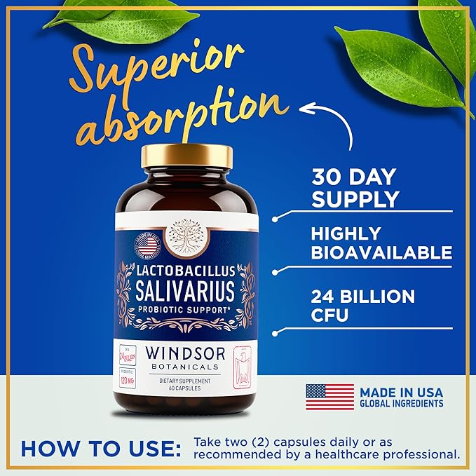 WINDSOR BOTANICALS Lactobacillus Salivarius Probiotic Capsules - L Salivarius Probiotic Oral Dental Probiotics for Bad Breath Teeth and Gums Health and Immune Support - 24bn CFU 3-Pack 180 Caps