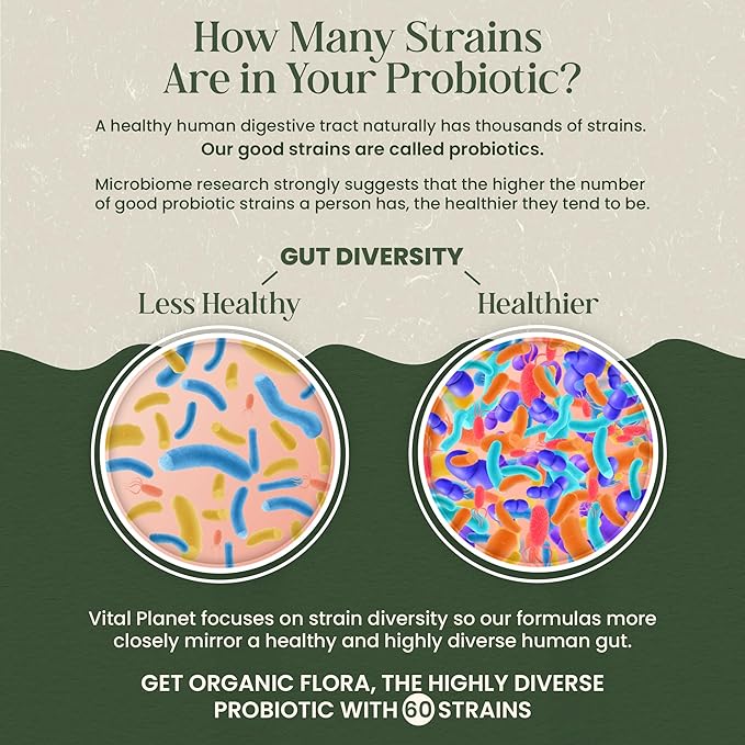 Vital Planet - Organic Flora Probiotics for Men Men's Daily Shelf Stable Probiotic 30 Billion CFU 60 Diverse Strains Prebiotic Organic Mushroom Blend Immune and Digestive Health 30 Capsules