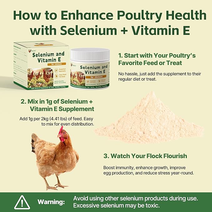 Selenium and Vitamin E Powder for Chickens – Boost Immunity Muscle Support &amp Reproductive Health Selenium for Chickens to Prevent Wry Neck &amp Improve Egg Production Chicken Vitamins for All