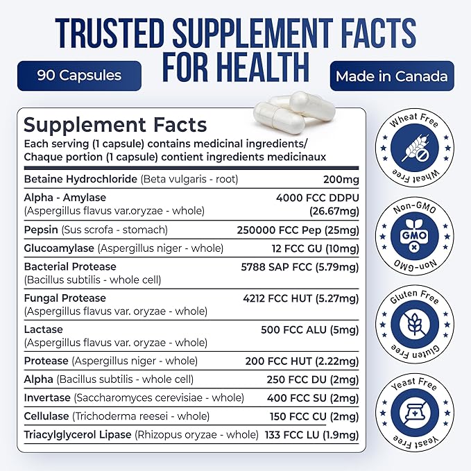 DigestCan - Digestive Enzymes Supplement (120g) Probiotics for Digestive Comfort &amp Gut Health Advanced Enzyme Formula for Men &amp Women Gluten-Free &amp Vegan Friendly - 90 Capsules