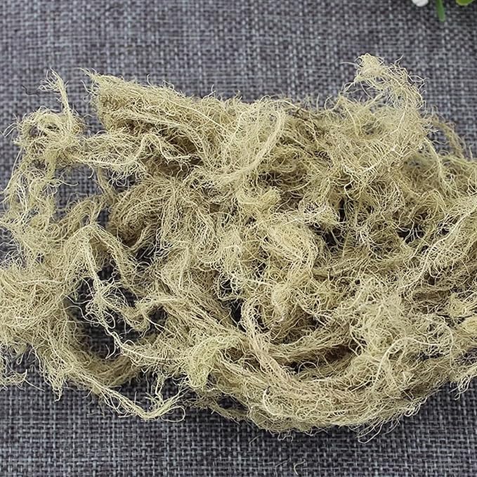 Usnea Lichen Herb Bulk – 300g Dried Usnea Barbata Natural Botanical for Homemade Tea Herbal Remedies Craft &amp Apothecary (1 LB)