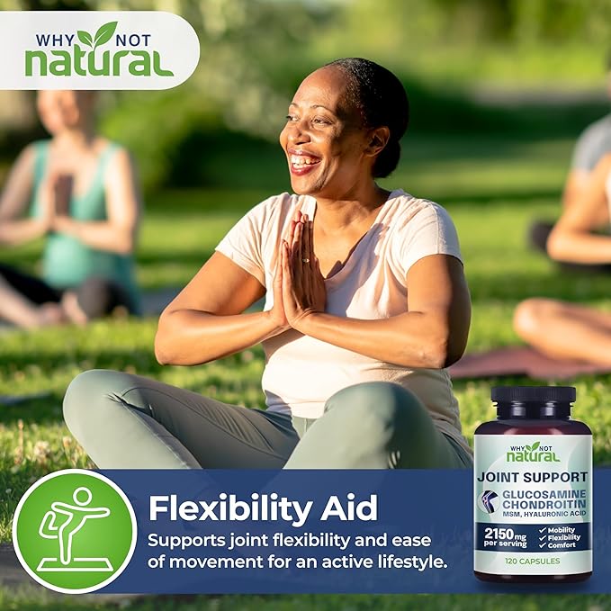 Why Not Natural Glucosamine Chondroitin MSM Joint Support Supplements - Knee Pain Joints Health Suppplement