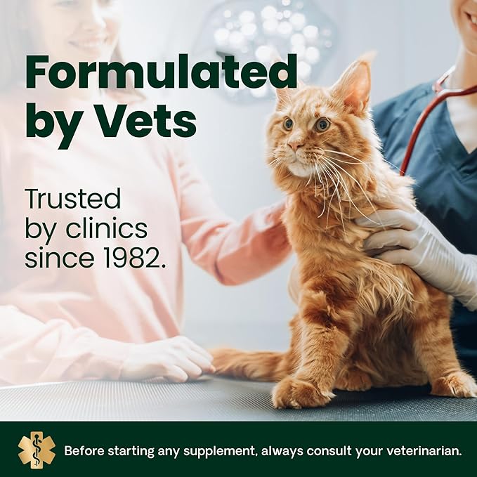VetriScience Ultimate Strength Lysine Immunity Health Powder for Cats &amp Kittens Supplement for Allergy &amp Nasal Support Sneezing Runny Nose &amp Watery Eyes Chicken &amp Cheese Flavor 60