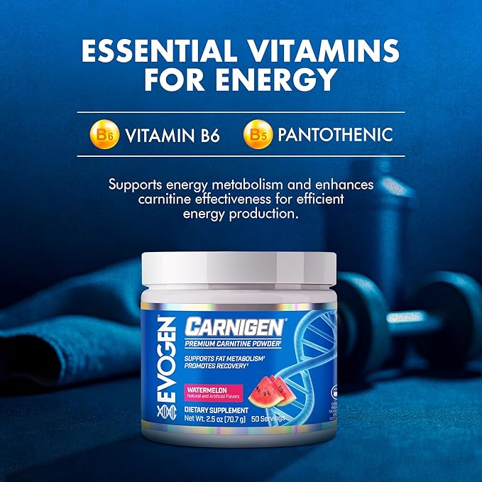 Evogen Carnigen - Premium Carnitine Powder | Supports Fat Metabolism &amp Promotes Recovery | Stimulant-Free L Carnitine Supplement Matrix with Acetyl L-Carnitine | Watermelon | 50 Servings