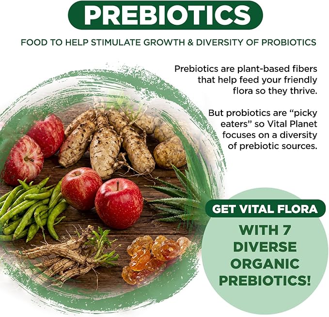 Vital Planet - Vital Flora Adults Over 55 Daily Probiotic 60 Billion CFU Diverse Strains Organic Prebiotics Immune Support Gas Relief Digestive Health Probiotics for Women and Men 60 Capsules