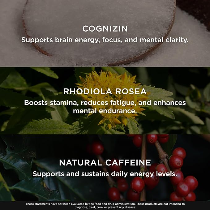 Genius BCAA Powder - 5g Vegan BCAAs L-Glutamine Cognizin &amp Rhodiola Muscle Recovery Energy Support 100mg Caffeine Pre Intra Post-Workout Nootropic Supplement for Focus &amp Performance - Grape