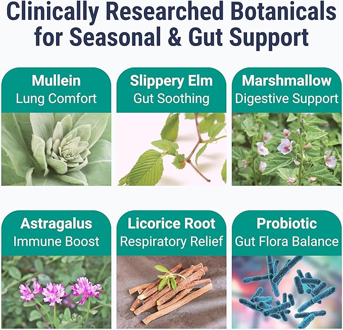 SHIZAM Slippery Elm Mullein Leaf Marshmallow Root Licorice Root Astragalus Root Elderberry &amp Probiotic Bacillus Coagulans Gummies – Sugar-Free Keto-Friendly Vegan - Gymnema Sylvestre