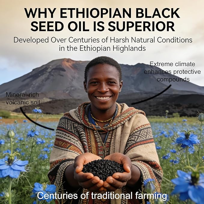 Organic Ethiopian Black Seed Oil Softgels 60 Count - Cold-Pressed with Occurring Thymoquinone Plant-Based for Daily Wellness (1)