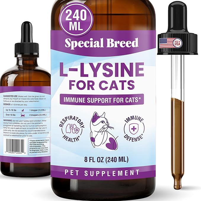 L-Lysine Supplement for Cats &amp Kittens – Immune Support Liquid for Feline Respiratory Health Sneezing Runny Nose &amp Watery Eyes – 250mg Lysine Cat Drops with Vitamins Complex – Chicken Flavor