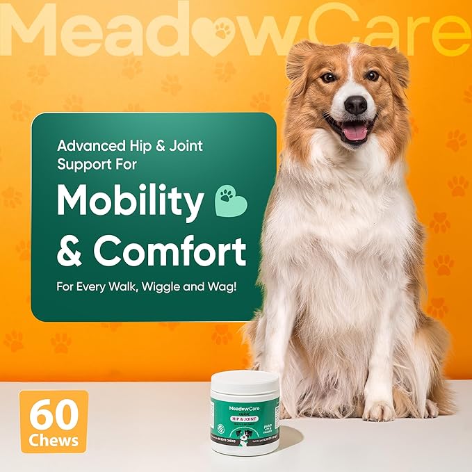 Hip and Joint Supplement for Dogs | MSM Chondroitin &amp Glucosamine for Dogs | Supports Bone Cartilage &amp Connective Tissue Health | Dog Joint Supplement | 60 Soft Chews180 g (6.35 oz) | Meadow