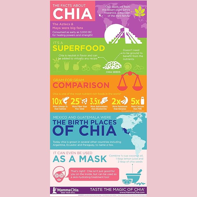 Mamma Chia Strawberry Lemonade Organic Prebiotic Squeeze Snack Non GMO No Added Sugar 14 Ounces (Pack Of 6)