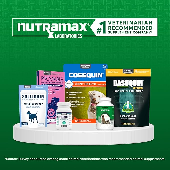Nutramax Cobalequin B12 for Dogs and Cats Oral Cobalamin Supplement with Folate Vitamin B12 for Dogs Under 22 lbs. and Cats Supports GI Health Chewable Tablets 45 Count