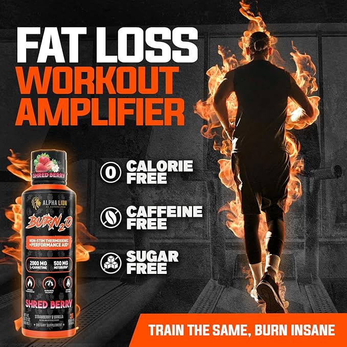 ALPHA LION Burn2O L-Carnitine Liquid 2000mg Premium Liquid Fat Burner &amp Pre-Workout Supplement for Men &amp Women - Natural Energy &amp Metabolism Booster for Weight Loss - ShredBerry