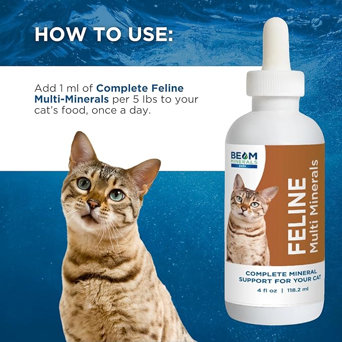 Beam Minerals Complete Feline Multi Minerals | Full-Spectrum Minerals for Cats | Contains Humic &amp Fulvic Acid | 4 fl Oz