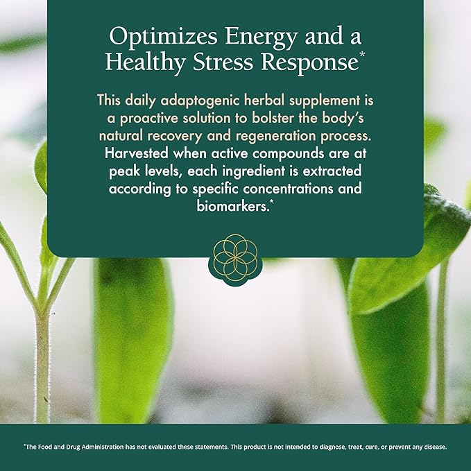 Natura Health Products Power Adapt Supplement - Deep Adrenal and Endocrine Support - Featuring Ashwagandha Ginseng Rhodiola Rosea Root Ext. and Cordyceps (60 Capsules)