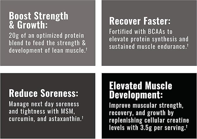 Wilderness Athlete - Brute Strength BCAA Post Workout | BCAA Creatine Workout Powder - Premium Post Workout Recovery Drink | 15 Serving Tub (Chocolate)