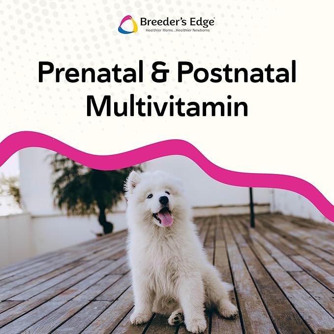 Breeder's Edge Breed to Wean Prenatal and Postnatal Multivitamin for Dogs &amp Cats Supports Pregnant &amp Nursing Moms Supplement Provides Antioxidants Vitamins &amp Minerals 100ct for Cats &