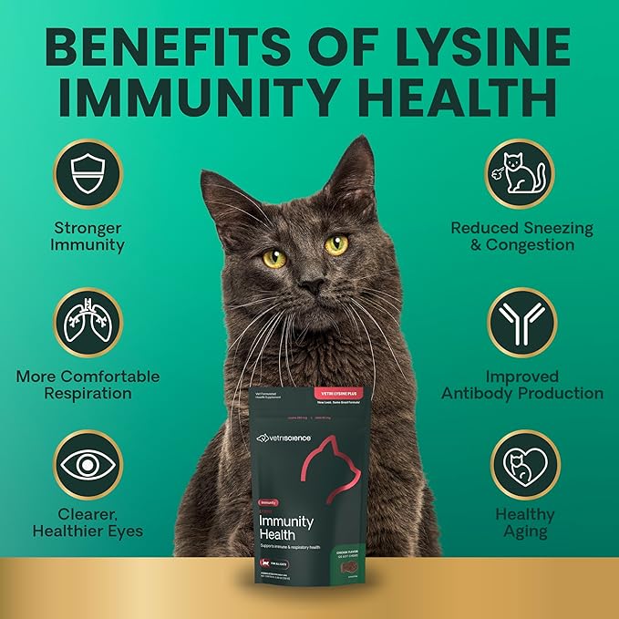 VetriScience Lysine Immunity Health Chews 250 mg Lysine Plus Immune Supplement for Cats and Kittens with Allergies Sneezing Runny Nose and Watery Eyes Chicken 120 Count (Pack of 2)
