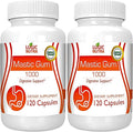 Mastic Gum Capsules - Natural Gastrointestinal Support Supplement 1000mg Per Serving - 120 Capsules (2 Bottles)