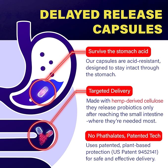 FOLONA Delayed Release Akkermansia GLP-1 Probiotic with Berberine and Soluble Beta-Glucan Prebiotic Fiber 3 Billion AFU 60 Capsules (2 Months Supply) for Gut Health Support