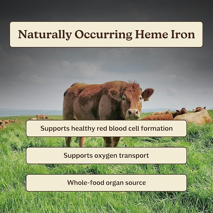 MK Supplements IRONCLAD | Beef Spleen &amp Bison Heart Capsules | ~58% DV Heme Iron + CoQ10 | No GI Distress | Freeze-Dried | 150 Capsules