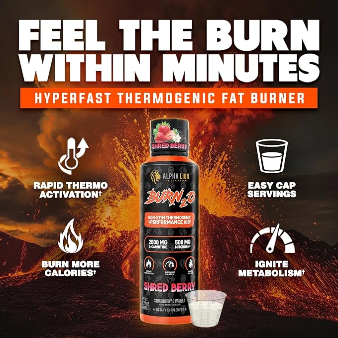 ALPHA LION Burn2O L-Carnitine Liquid 2000mg Premium Liquid Fat Burner &amp Pre-Workout Supplement for Men &amp Women - Natural Energy &amp Metabolism Booster for Weight Loss - ShredBerry