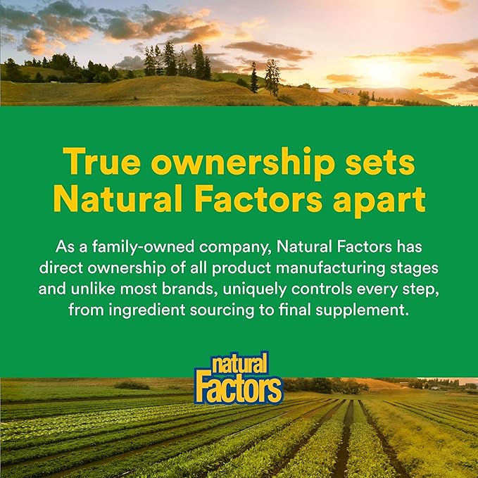 Natural Factors High Potency Multi Enzyme Vegetarian Formula Plant-Based Digestive Aid 120 Capsules