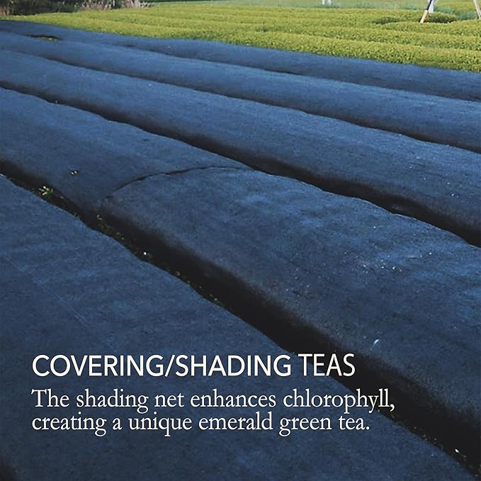 Japanese Green Tea Co. Nozomi Japanese Green Loose Leaf Tea - 3.5 Oz (100g) – Covered Tea Kabusecha Kabuse Fukamushi Sencha - Single-origin from Shizuoka