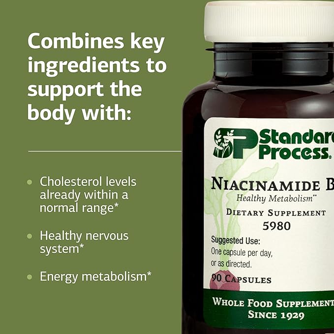 Standard Process Niacinamide B6 - Supports Energy Metabolism &amp Nervous System Health - Aids Blood Flow &amp Digestive Health with Niacin &amp Vitamin B6 - Non-Dairy - 90 Capsules