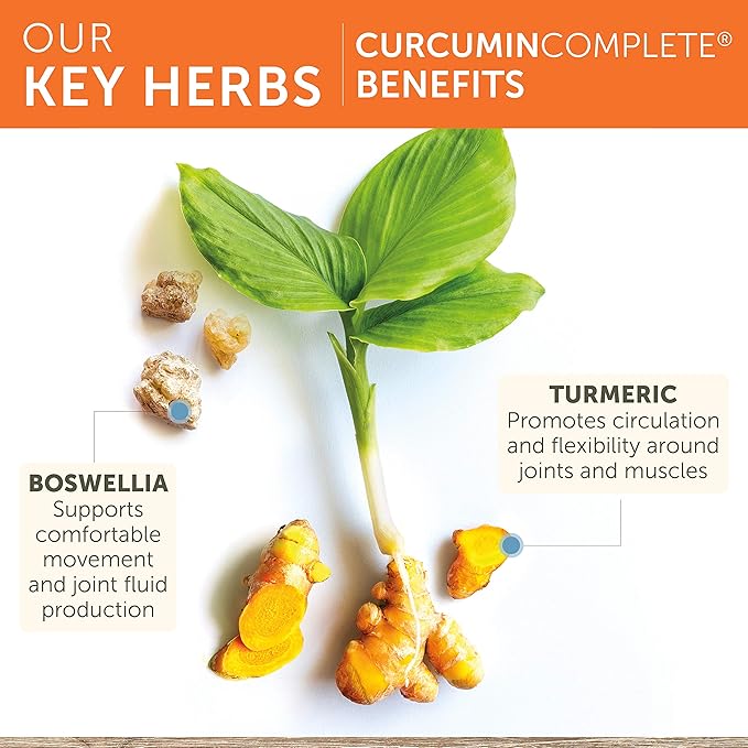 Himalaya Curcumin Complete - Herbal Joint Support Supplement with Turmeric Curcumin for Joint Health and Mobility Support 95% Curcuminoids - Vegan Non-GMO Gluten Free 60 Capsules