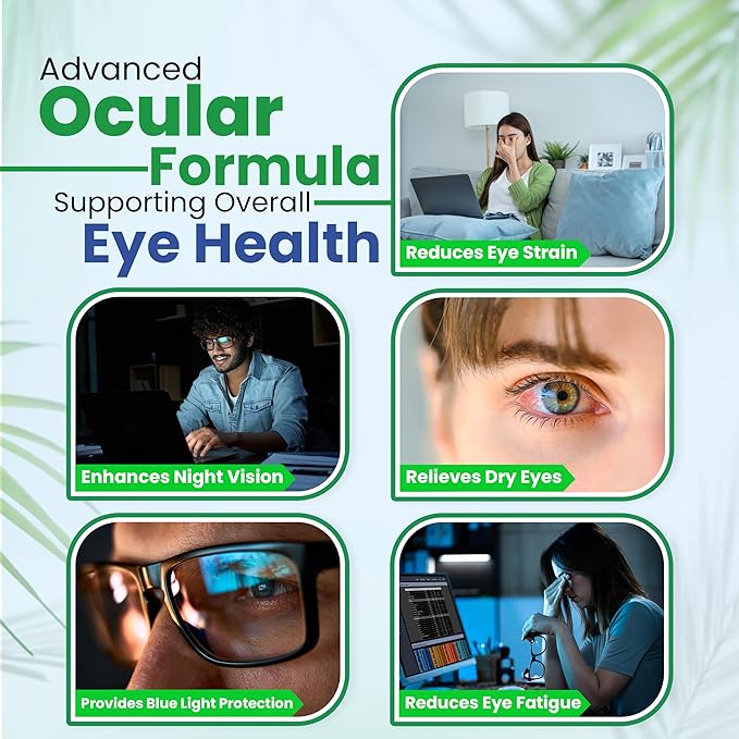 Vision Support Eye Vitamins for Macular Health | Supplements with Lutein Zinc Vitamin A &amp Bilberry | Areds 2 Formula for Red &amp Dry Eyes | Blue Light &amp Eye Strain Support for Adults 60 C