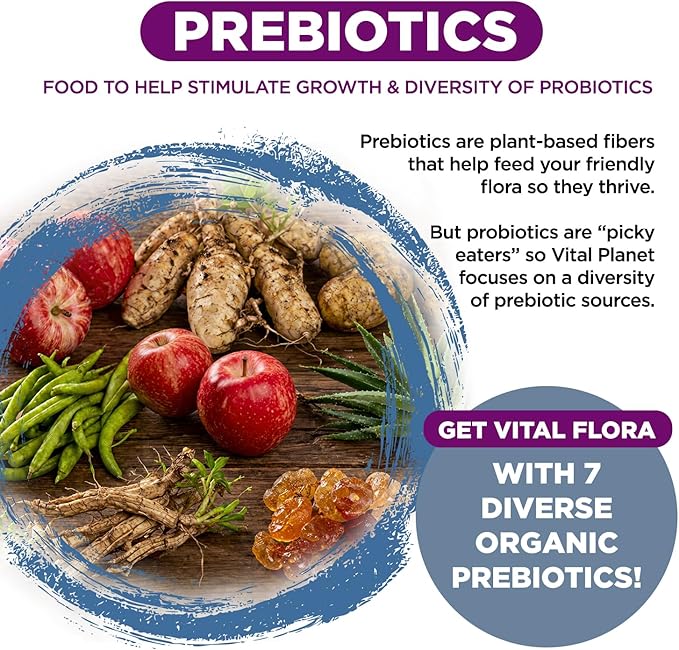 Vital Planet - Vital Flora Probiotics for Women Over 55 Daily Shelf Stable Probiotic 60 Billion CFU 60 Diverse Strains 7 Organic Prebiotics Immune Support and Digestive Health 60 Capsules
