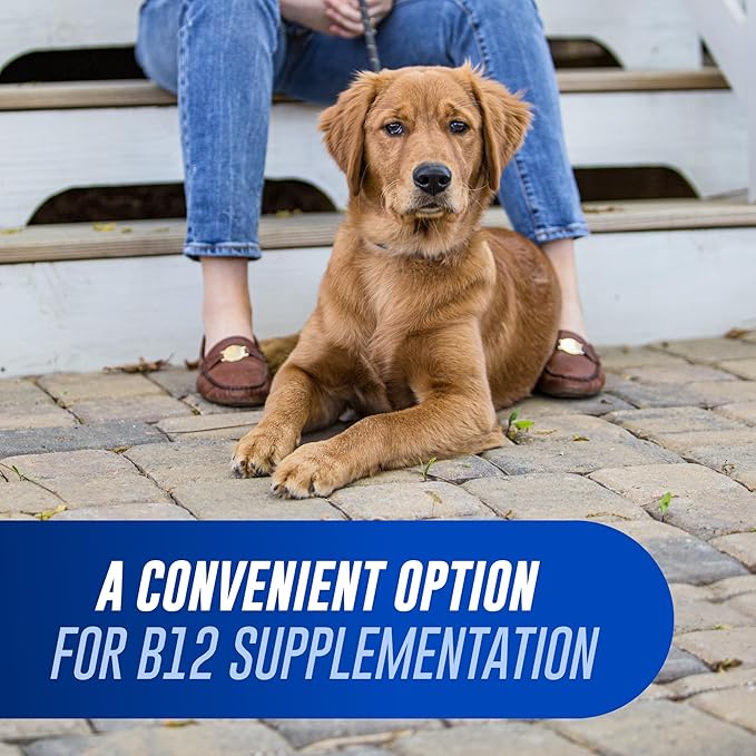 Nutramax Cobalequin B12 for Dogs Oral Cobalamin Supplement with Folate Vitamin B12 for Dogs Over 22 lbs. Supports GI Health Chewable Tablets 45 Count