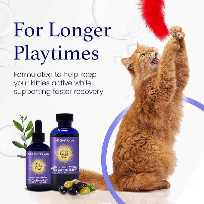 Cat Lover Set 2 Bottles of Pure ESS60 in Extra Virgin Olive Oil 1 for Humans and 1 for Felines Cat Supplements Infused with Natural Salmon Essence Must-Have Pet Supplies and Cat Products