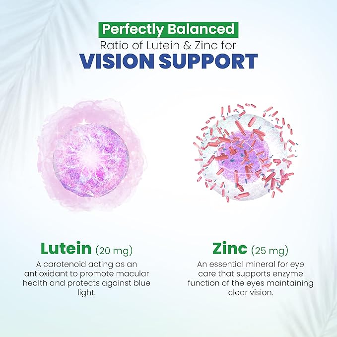 Vision Support Eye Vitamins for Macular Health | Supplements with Lutein Zinc Vitamin A &amp Bilberry | Areds 2 Formula for Red &amp Dry Eyes | Blue Light &amp Eye Strain Support for Adults 60 C