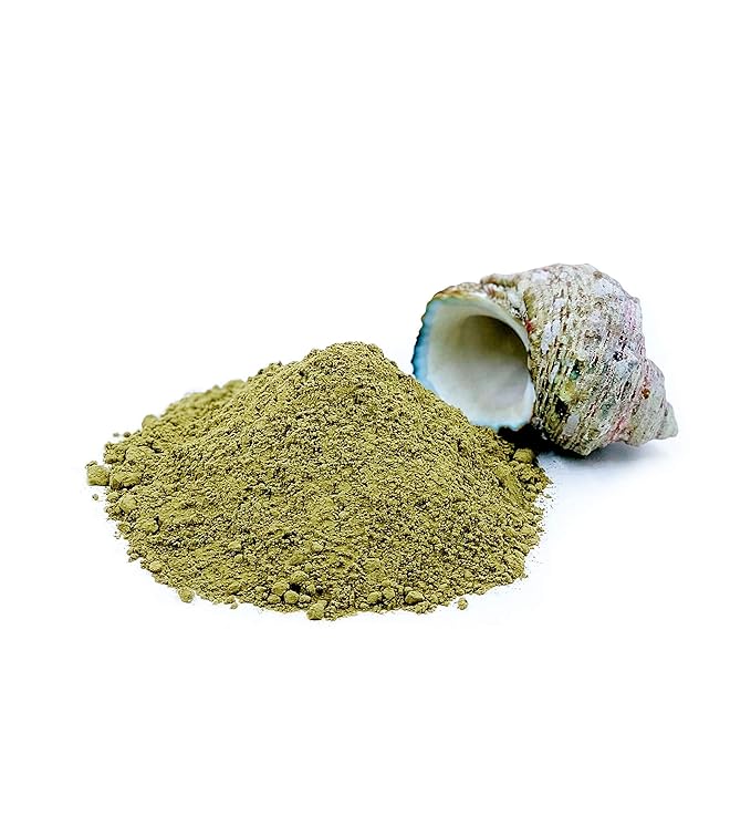 Best Botanicals Bladderwrack Herb Powder 16 oz. (Organic)