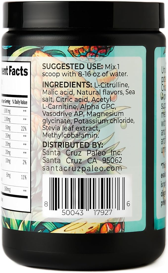 Santa Cruz Paleo Pre Workout Powder Electrolytes Magnesium Potassium Sea Salt &amp L Citrulline Caffeine &amp Sugar Free Preworkout Drink Mix for Energy &amp Hydration Pineapple Flavor 30 Ser