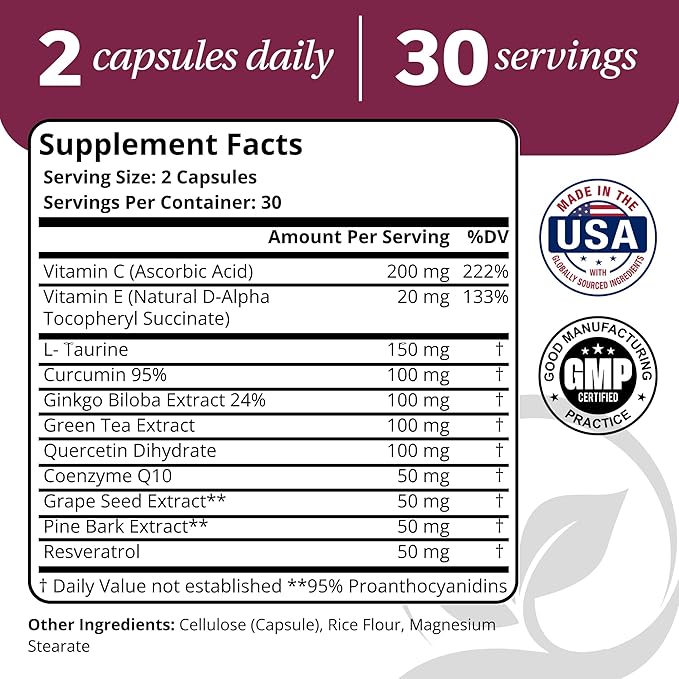 Vascular &amp Antioxidant Bundle | Heart Circulation &amp Energy Support | Includes Vascular Control (NAC CoQ10 Benfotiamine Betaine) + Super Antioxidants (Resveratrol Curcumin Ginkgo Quercet