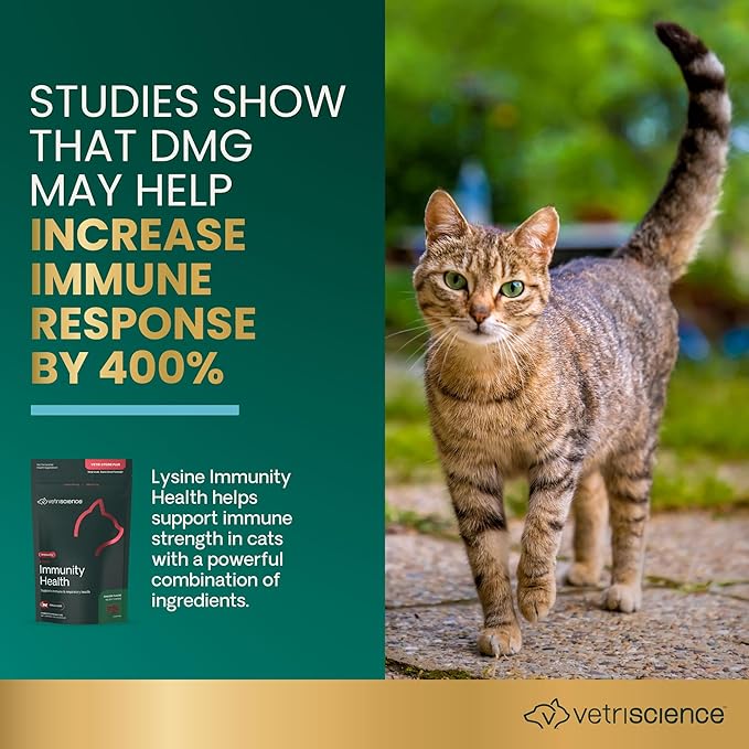 VetriScience Lysine Immunity Health Chews 250 mg Lysine Plus Immune Supplement for Cats and Kittens with Allergies Sneezing Runny Nose and Watery Eyes Chicken90 Count (Pack of 2)